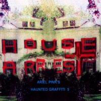 Netherlands_Ariel Pink