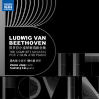 III. Scherzo - Allegro (C小调第七号小提琴奏鸣曲,作品30,第二号:III. 谐谑曲:快板)_Danan Liang,Xiaotang Tan