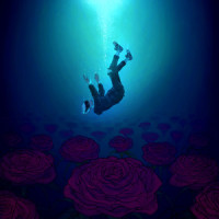 Into The Dark(feat. Kellin Quinn)_Point North
