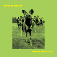 Come Down_Hanni El Khatib