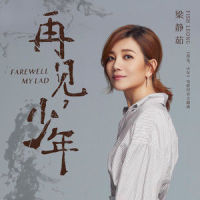 再见,少年_梁静茹