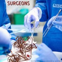 Surgeons (feat. Beatz Lowkey & Bison)_Cele0n,Beatz Lowkey,Bison