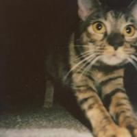 Safe and Sound_Mr Floyd Larry
