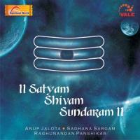 Commentary_Meenal Jain,Anup Jalota,Sadhana Sargam,Raghunandan Panshikar