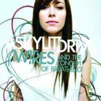 All It Takes For Your Dreams To Come True_A Skylit Drive