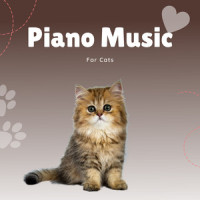Liked Pet_Piano Peace,Pet Music Therapy,Pets Love Music