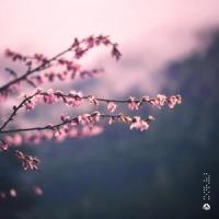 Sunny Morning_yuhei miura,kazuki isogai