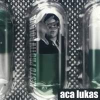 Suncokreti_Aca Lukas