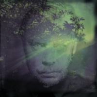 So Far Away_Delaney Davidson