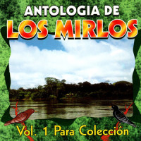 La Danza del Petrolero_Los Mirlos