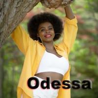 SHINE_Odessa