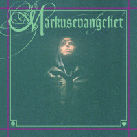 Stjärnfallet_Markus Krunegard