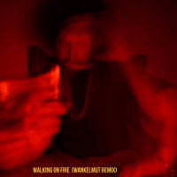 Walking On Fire_Rilan & The Bombardiers,Wankelmut