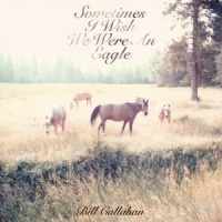 The Wind and The Dove_Bill Callahan