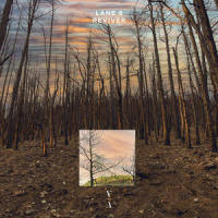 Reviver_Lane 8