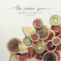 Passing Through a Screen Door_The Wonder Years,Little Kruta