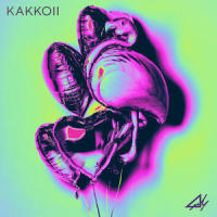 KAKKOII_Anly