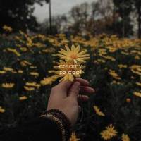 so cool_Jasper,Martin Arteta,11:11 Music Group