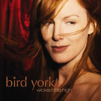Hold On, I'm Coming_Bird York