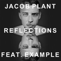 Reflections_Jacob Plant,Example