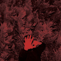 Violent Moon_Cory Hanson