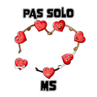 Pas solo_MS