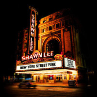 Shake Your Tambourine_Shawn Lee