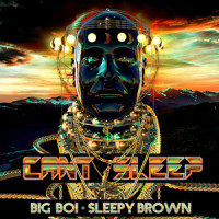 Can't Sleep_Big Boi,Sleepy Brown
