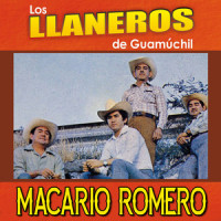 Me Voy Me Voy_Los Llaneros De Guamuchil,Samuel Higuera López