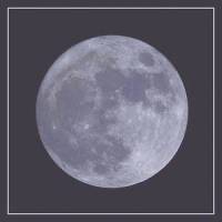 Moonsong_Kina Grannis