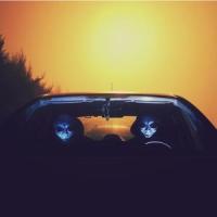 Enlightened_Mystery