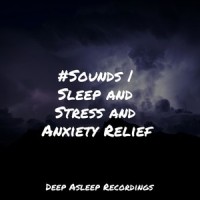 Absolute Zen_Sleepy Times,Study Zone,Academia de Música con Sonidos de la Naturaleza