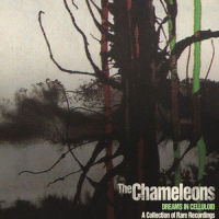 Less Than Human_The Chameleons
