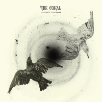 Chasing The Tail Of A Dream_The Coral,James Skelly