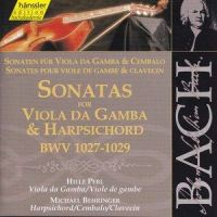 Viola da gamba Sonata No. 1 in G Major, BWV 1027: II. Andante_Hille Pearl