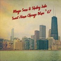 Been Down So Long / Feel So Good_Magic Sam,Shakey Jake