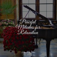 Life is Welcome_Concentration Study,Piano Pianissimo,Chilout Piano Lounge