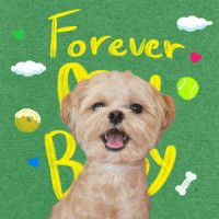 Forever My Baby_it's