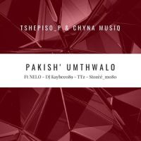 Pakish' Umthwalo_Tshepiso_P,Chyna musiq,Stozèé_mo8o,Nelo,Dj Kaybeeo89,TTZ