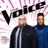 I Wish_Jesse Larson,TSoul