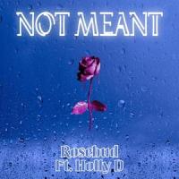 Not Meant_Rosebud
