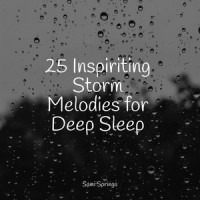 Droplets_Classical Lullabies,Musica Relaxante,Pink Noise