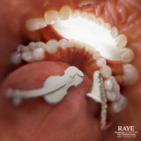 Escapism._RAYE,070 Shake