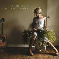 The Things We're Afraid Of_Carrie Elkin