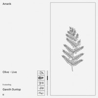 Olive_Amerik,Gareth Dunlop