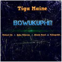 Bowukuphi? (feat. Mshizil SA, Bobo 7Eleven, Black Pearl & Voltage183)_Tiga Maine,Mshizil SA,Bobo 7Eleven,Black Pearl,Voltage183