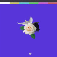 Jungle Fever_BLEU FRIDAY,LiL BO WEEP
