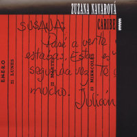 Son Desangrado_Zuzana Navarova