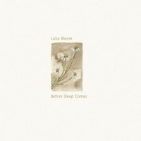 I'll Walk Beside You_Luka Bloom