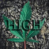 HIGH_Jake Martin